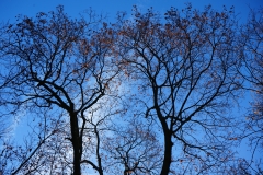 DSC00045