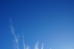 DSC00051