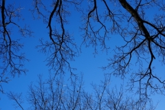 DSC00052