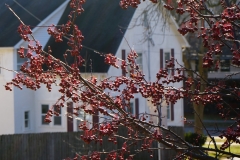 DSC00061