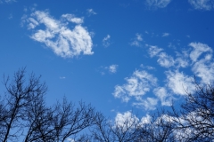 DSC00069