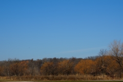 DSC00085