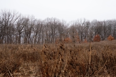 DSC00187