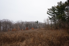 DSC00190