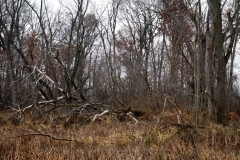 DSC00201