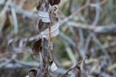 DSC00209