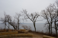 DSC00226