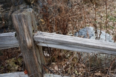 DSC00257