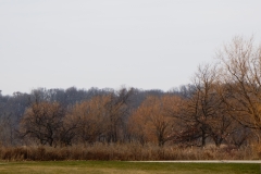 DSC00170
