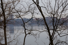 DSC00301