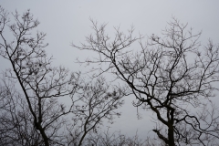 DSC00313