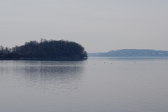 DSC00266