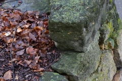 DSC00697
