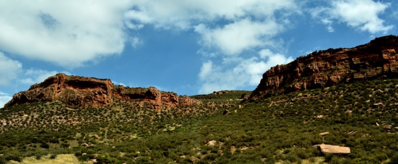 DSC_4194