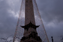 SONY DSC