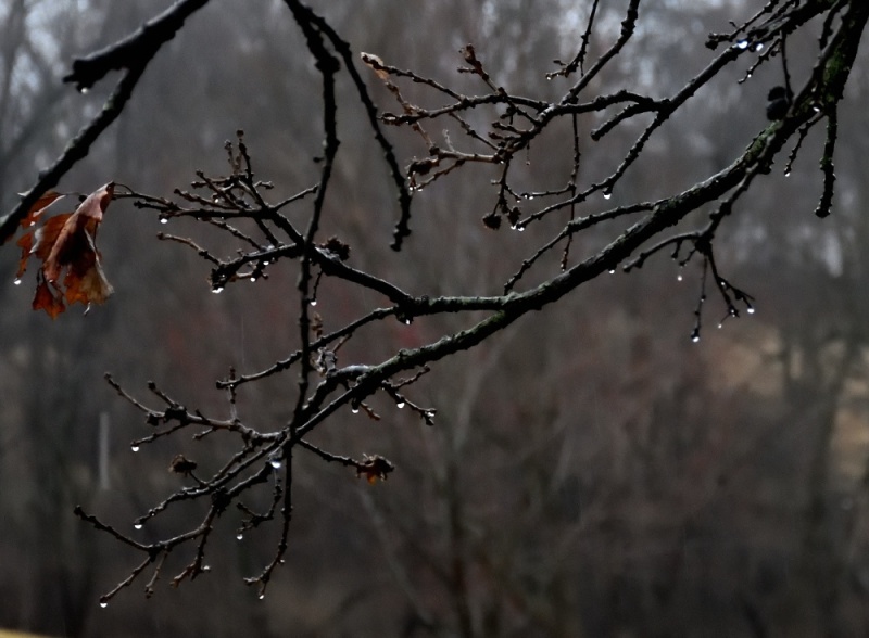 dsc_3753