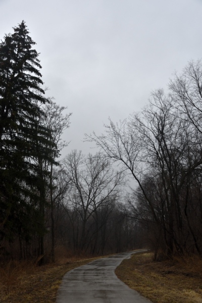 dsc_3897