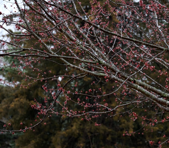 dsc_3906