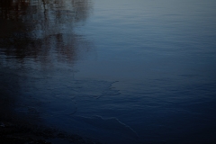 DSC01350