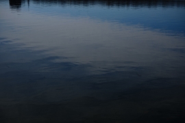 DSC05837