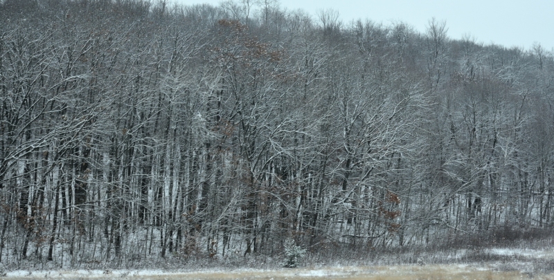 DSC_2360