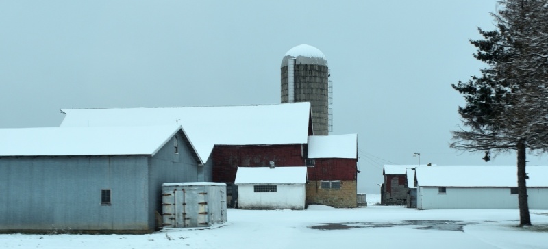DSC_2376